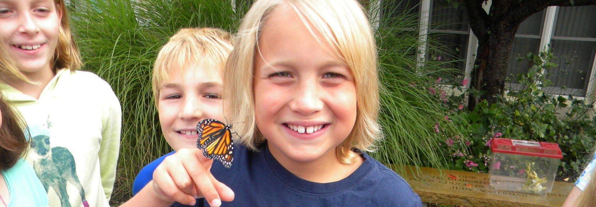 Young boy holding butterfly